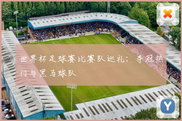 世界杯足球赛比赛队巡礼：夺冠热门与黑马球队