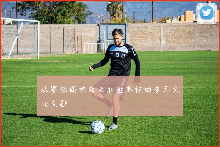 从赛场旗帜看南非世界杯的多元文化交融