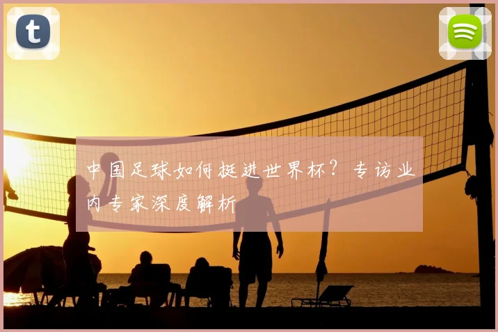中国足球如何挺进世界杯？专访业内专家深度解析
