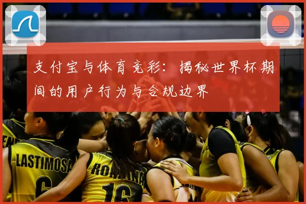 支付宝与体育竞彩：揭秘世界杯期间的用户行为与合规边界