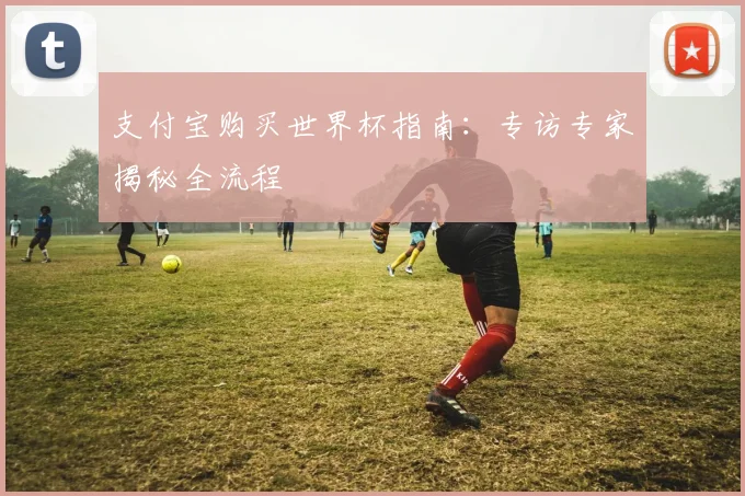 支付宝购买世界杯指南：专访专家揭秘全流程