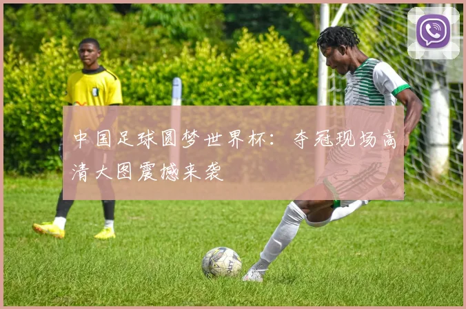 中国足球圆梦世界杯:夺冠现场高清大图震撼来袭