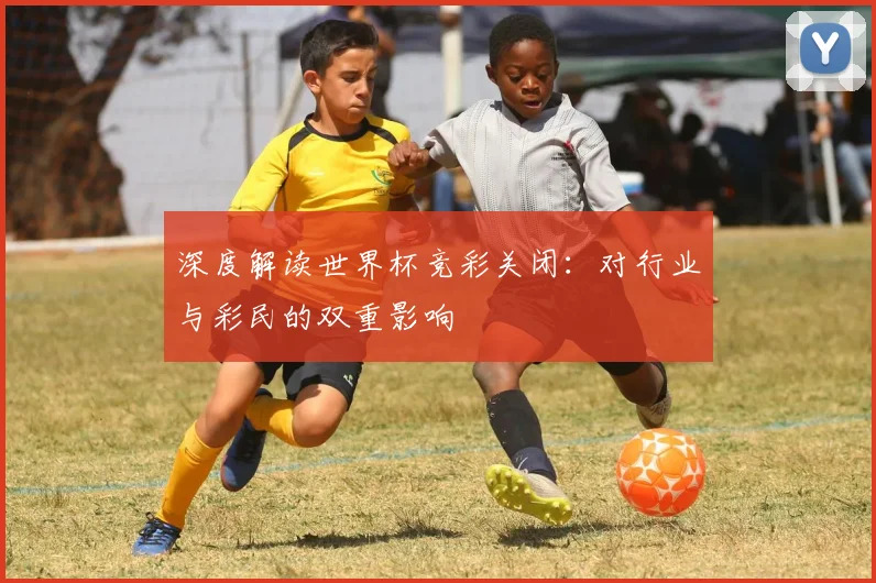 深度解读世界杯竞彩关闭：对行业与彩民的双重影响