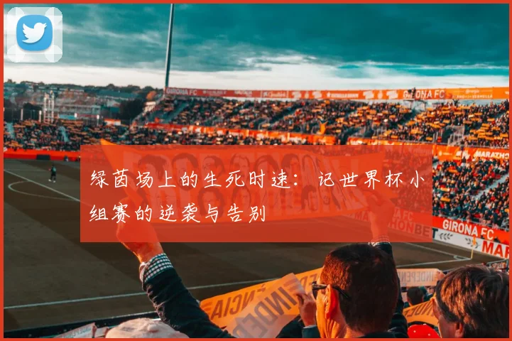 绿茵场上的生死时速：记世界杯小组赛的逆袭与告别